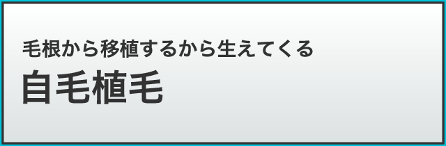 自毛植毛