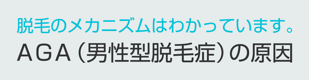 脱毛のメカニズムはわかっています。AGA（男性型脱毛症）の原因