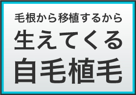 自毛植毛