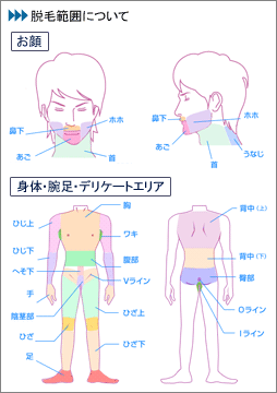 脱毛範囲について